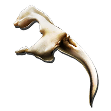 croc de basilic alpha