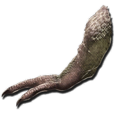 Bras de Tyranno