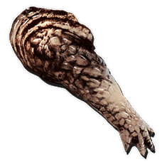 bras de carnotaure Alpha