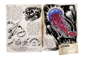 cnidaria