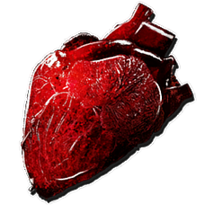 Coeur_de_Giganotosaure