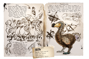 dodo