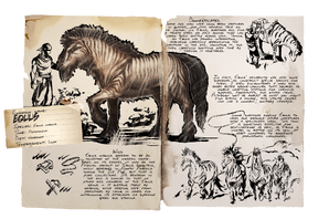 equus