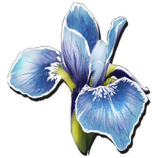 fleur rare