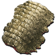 Peau de Sarcosuchus