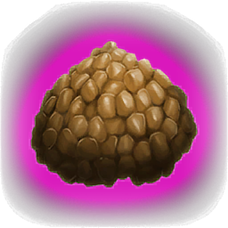 croquette super