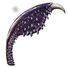Tentacule de Tusoteuthis