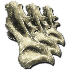 vertebre de sauropode